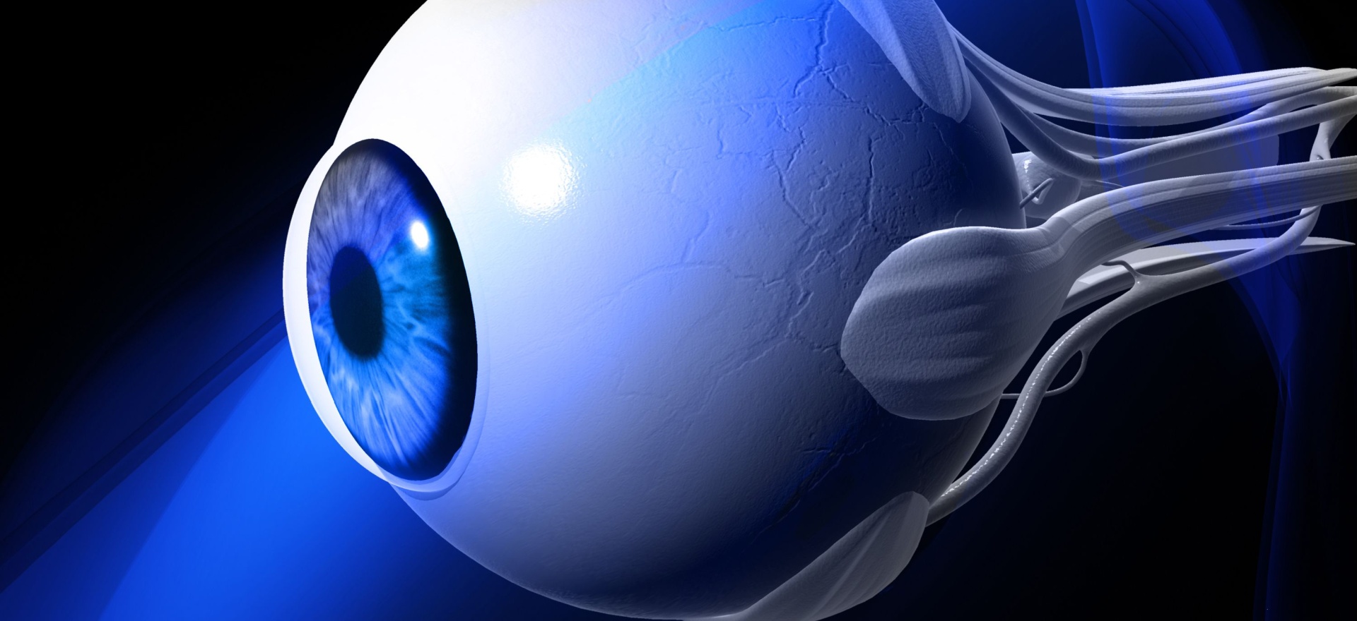 Allogeneic Solutions Xcellereyes Page Top 1920x880