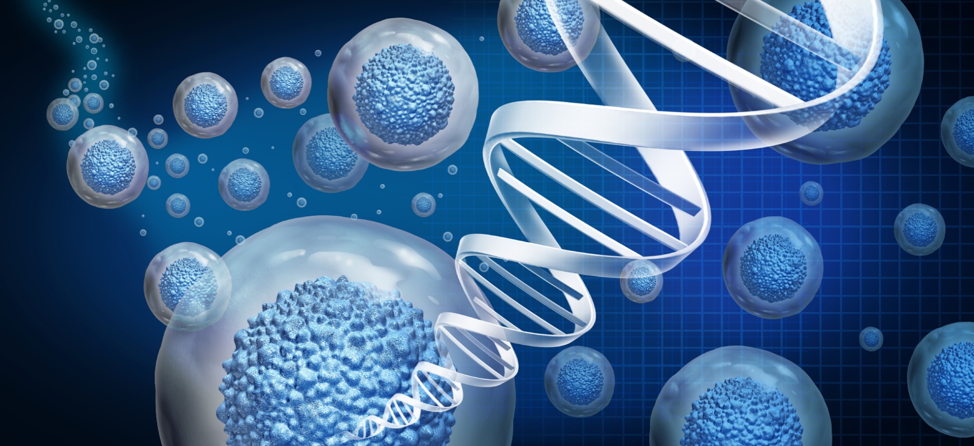 Allogeneic Solutions aril Page Top 1920x880