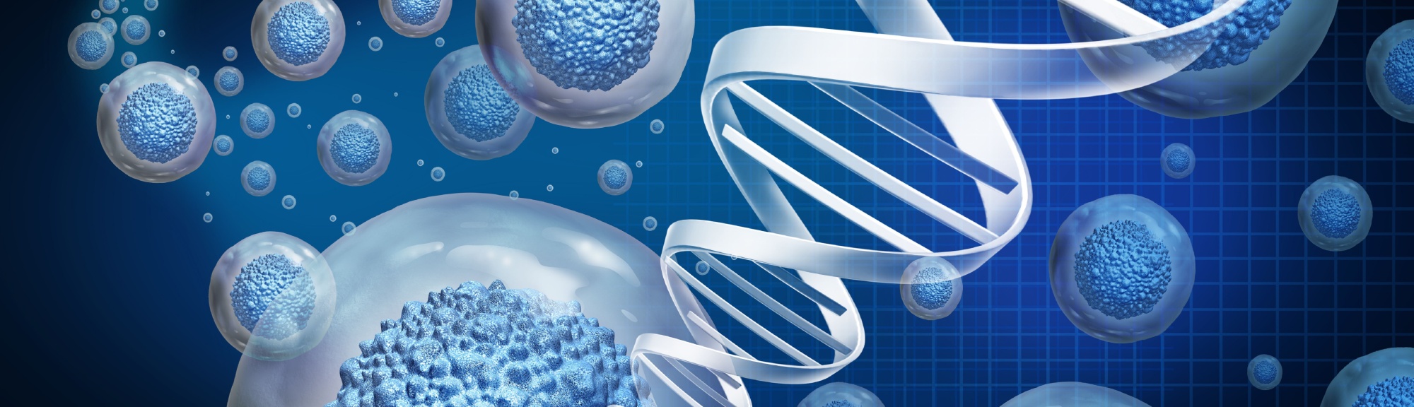 Allogeneic Solutions aril Page Top 2000x576