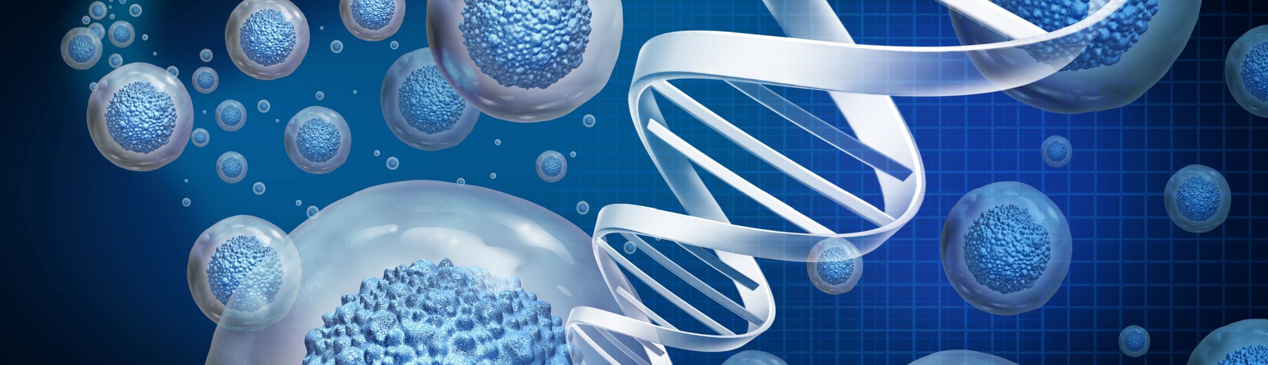Allogeneic Solutions aril Page Top 2560x738