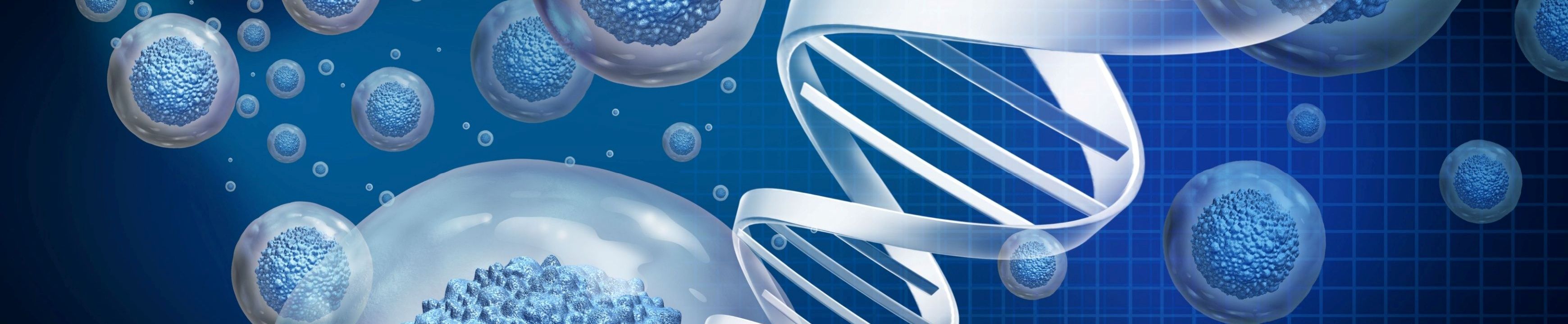 Allogeneic Solutions aril Page Top 3840x720